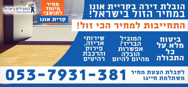 אם ובת מסדרים קרטונים לאחר ההובלה